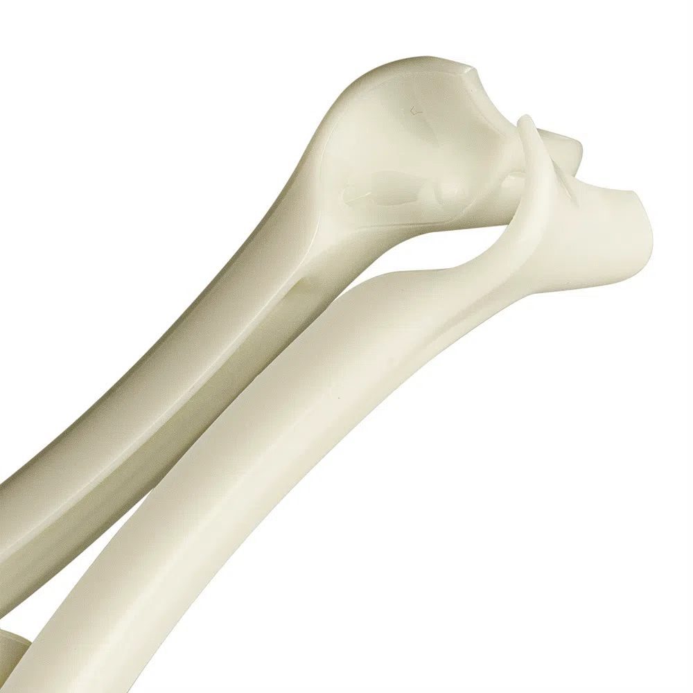 Especulo Nasal Adulto